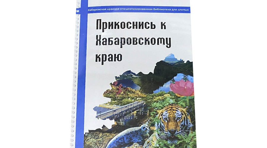 Благодарность Хабаровской краевой библиотеке для слепых